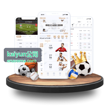 kaiyun公司数字化咨询服务流程现状梳理现场