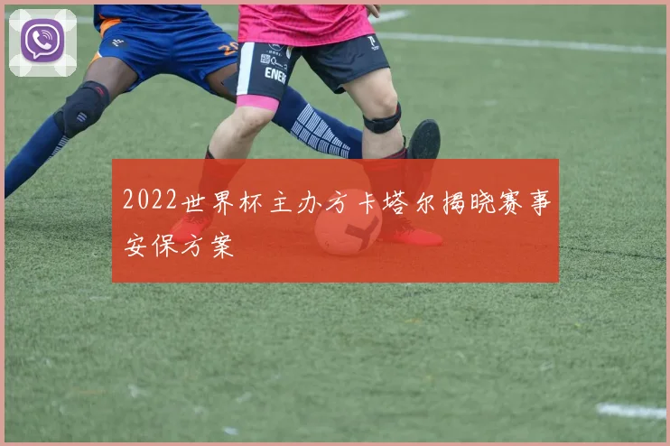 2022世界杯主办方卡塔尔揭晓赛事安保方案