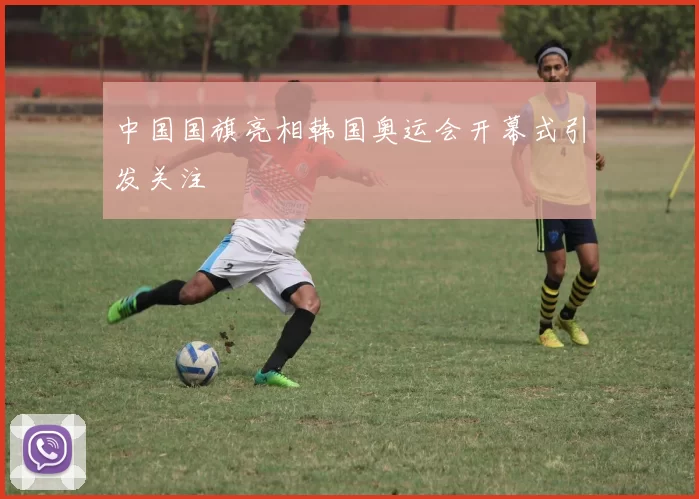 中国国旗亮相韩国奥运会开幕式引发关注