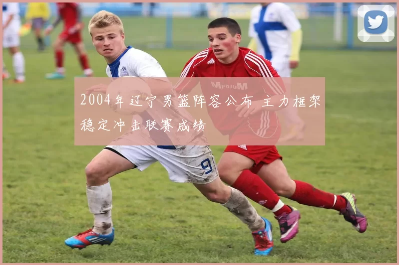 2004年辽宁男篮阵容公布 主力框架稳定冲击联赛成绩