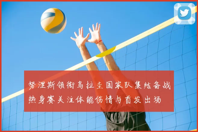 努涅斯领衔乌拉圭国家队集结备战热身赛关注体能伤情与首发出场