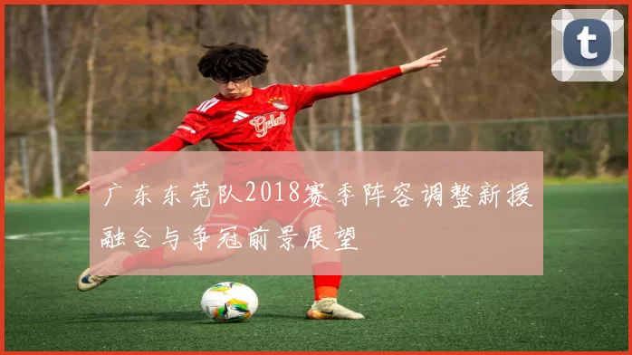 广东东莞队2018赛季阵容调整新援融合与争冠前景展望