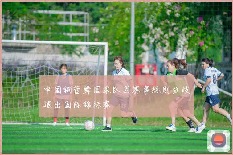 中国钢管舞国家队因赛事规则分歧退出国际锦标赛